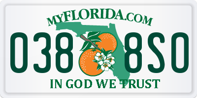 FL license plate 0388SO