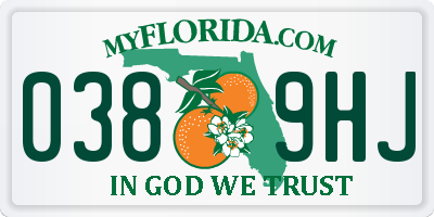 FL license plate 0389HJ