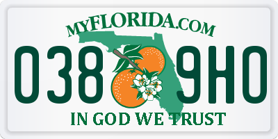 FL license plate 0389HO