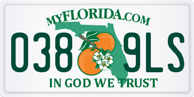 FL license plate 0389LS