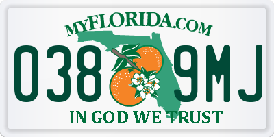 FL license plate 0389MJ