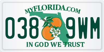 FL license plate 0389WM
