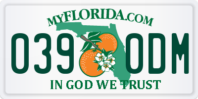 FL license plate 0390DM