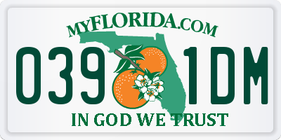 FL license plate 0391DM