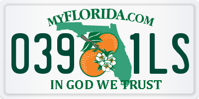 FL license plate 0391LS