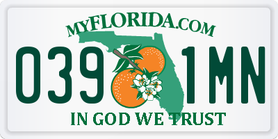 FL license plate 0391MN