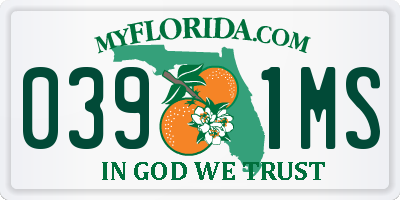 FL license plate 0391MS