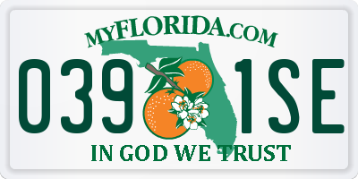 FL license plate 0391SE