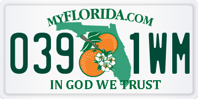 FL license plate 0391WM