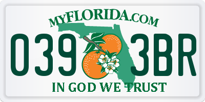 FL license plate 0393BR