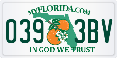 FL license plate 0393BV