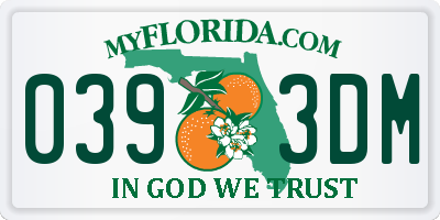 FL license plate 0393DM
