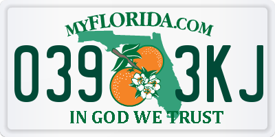 FL license plate 0393KJ