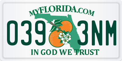 FL license plate 0393NM