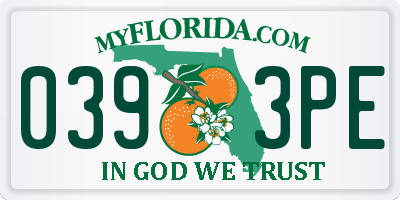 FL license plate 0393PE