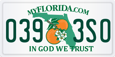 FL license plate 0393SO