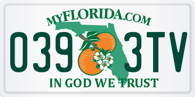 FL license plate 0393TV