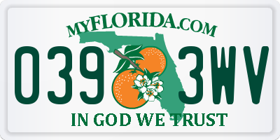 FL license plate 0393WV