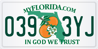 FL license plate 0393YJ
