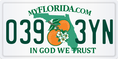 FL license plate 0393YN