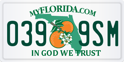 FL license plate 0399SM