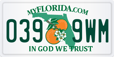 FL license plate 0399WM