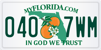 FL license plate 0407WM