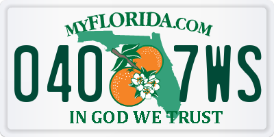 FL license plate 0407WS