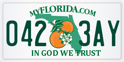 FL license plate 0423AY