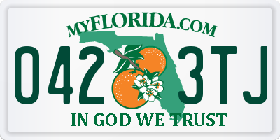 FL license plate 0423TJ