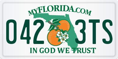 FL license plate 0423TS