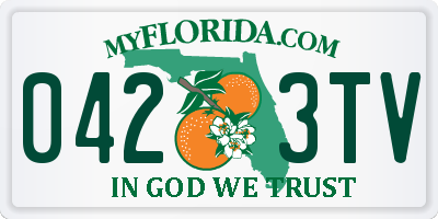 FL license plate 0423TV