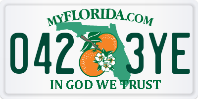 FL license plate 0423YE