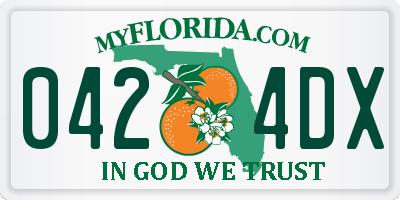 FL license plate 0424DX