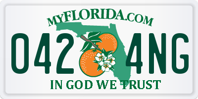 FL license plate 0424NG