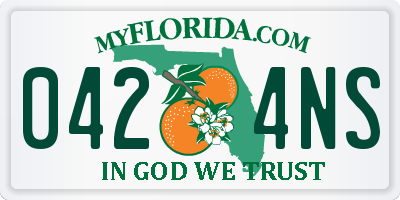 FL license plate 0424NS