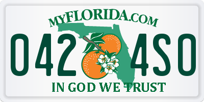 FL license plate 0424SO