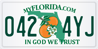 FL license plate 0424YJ