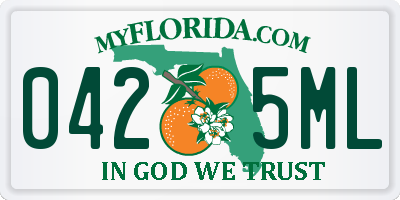 FL license plate 0425ML