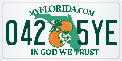 FL license plate 0425YE
