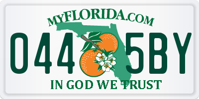 FL license plate 0445BY