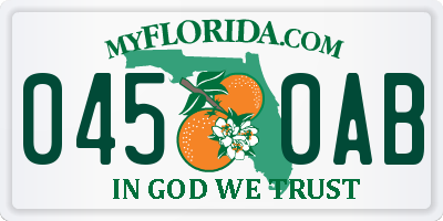 FL license plate 0450AB