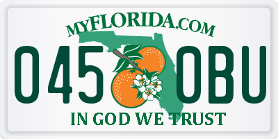 FL license plate 0450BU