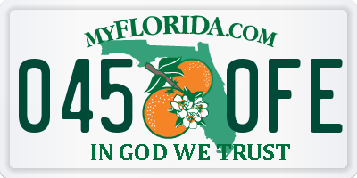 FL license plate 0450FE