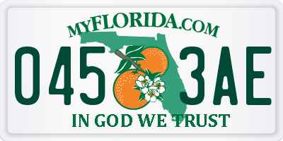 FL license plate 0453AE