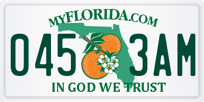 FL license plate 0453AM