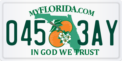 FL license plate 0453AY