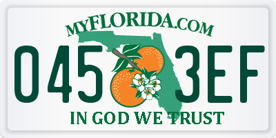 FL license plate 0453EF