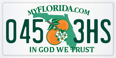 FL license plate 0453HS