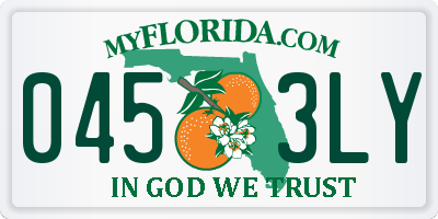 FL license plate 0453LY